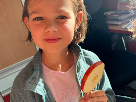 499edacc-b9c6-4b88-9455-7fe80a35ba7c