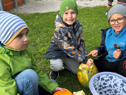 d37de73b-ddef-4836-bdfd-c98c1b0bab8c