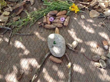 IMG_20231003_104858 (1)