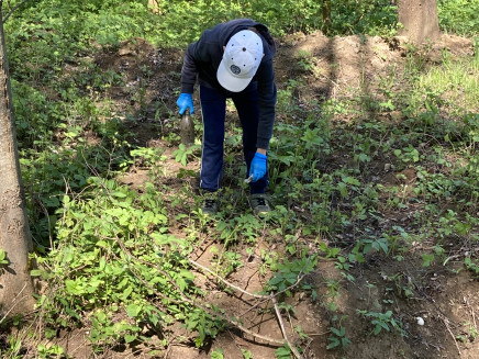 183B24B9-737B-4DCA-8A75-A916ED264C0B