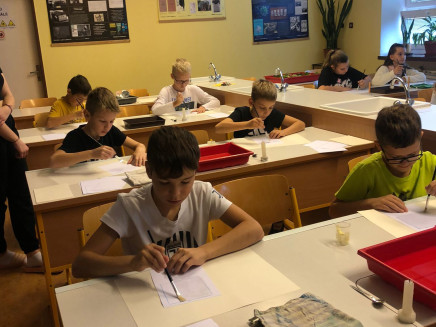 b3c946e2-8809-49d6-a501-60e5311ef2ca