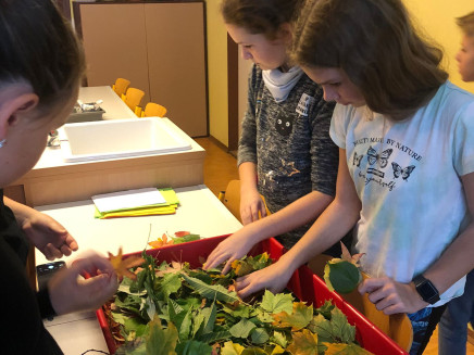 adc8cdc8-59d3-4d56-acfa-eff3a4ed361b