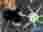 02444101-b4bd-44db-b3ba-4a588c50981a