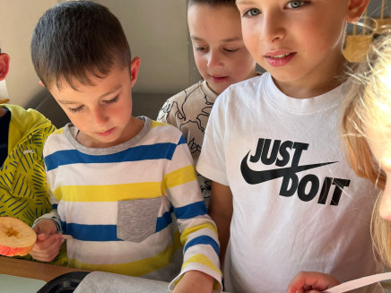 5a5c5274-7bd3-4822-9f80-e91fd9e4a366